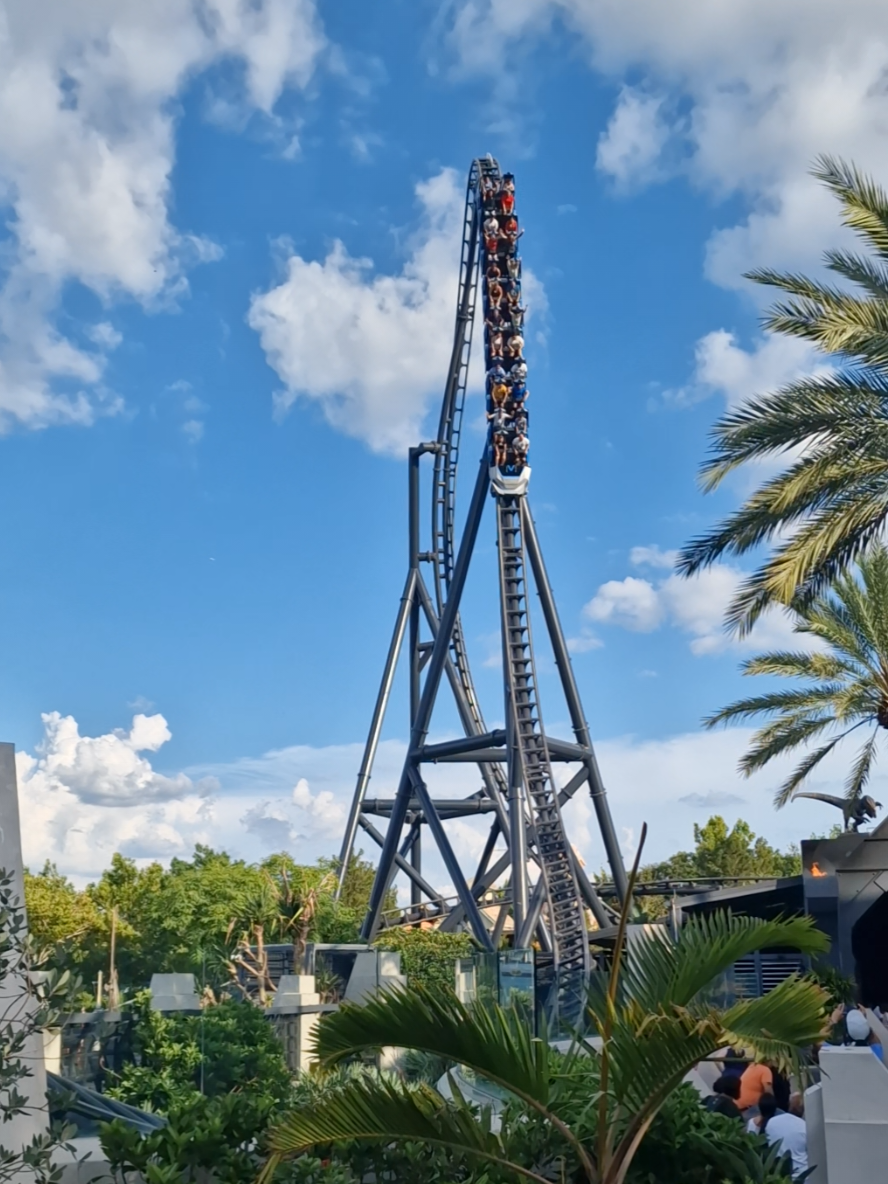 @°•☆🎢 ⭕️☆•°