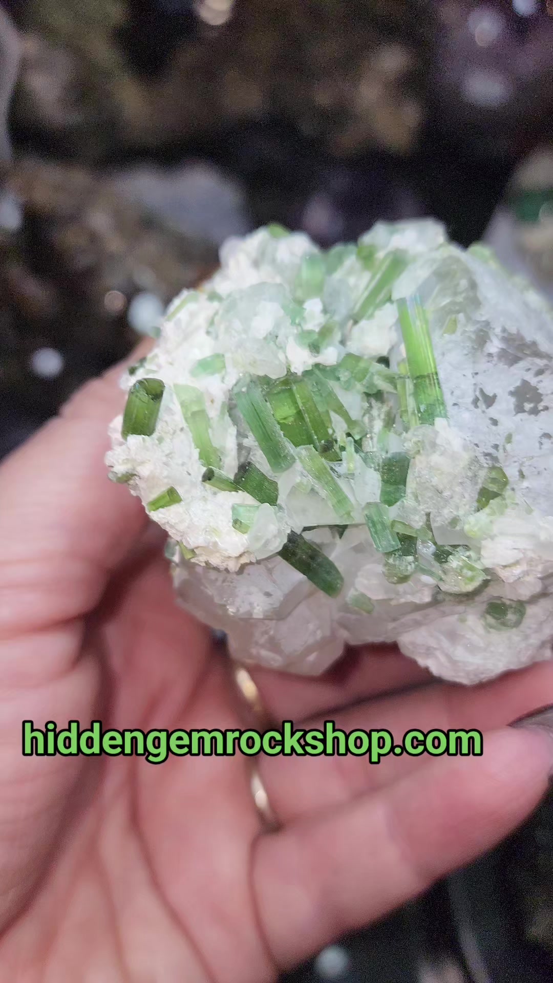 @Hidden Gem Rock Shop & Museum