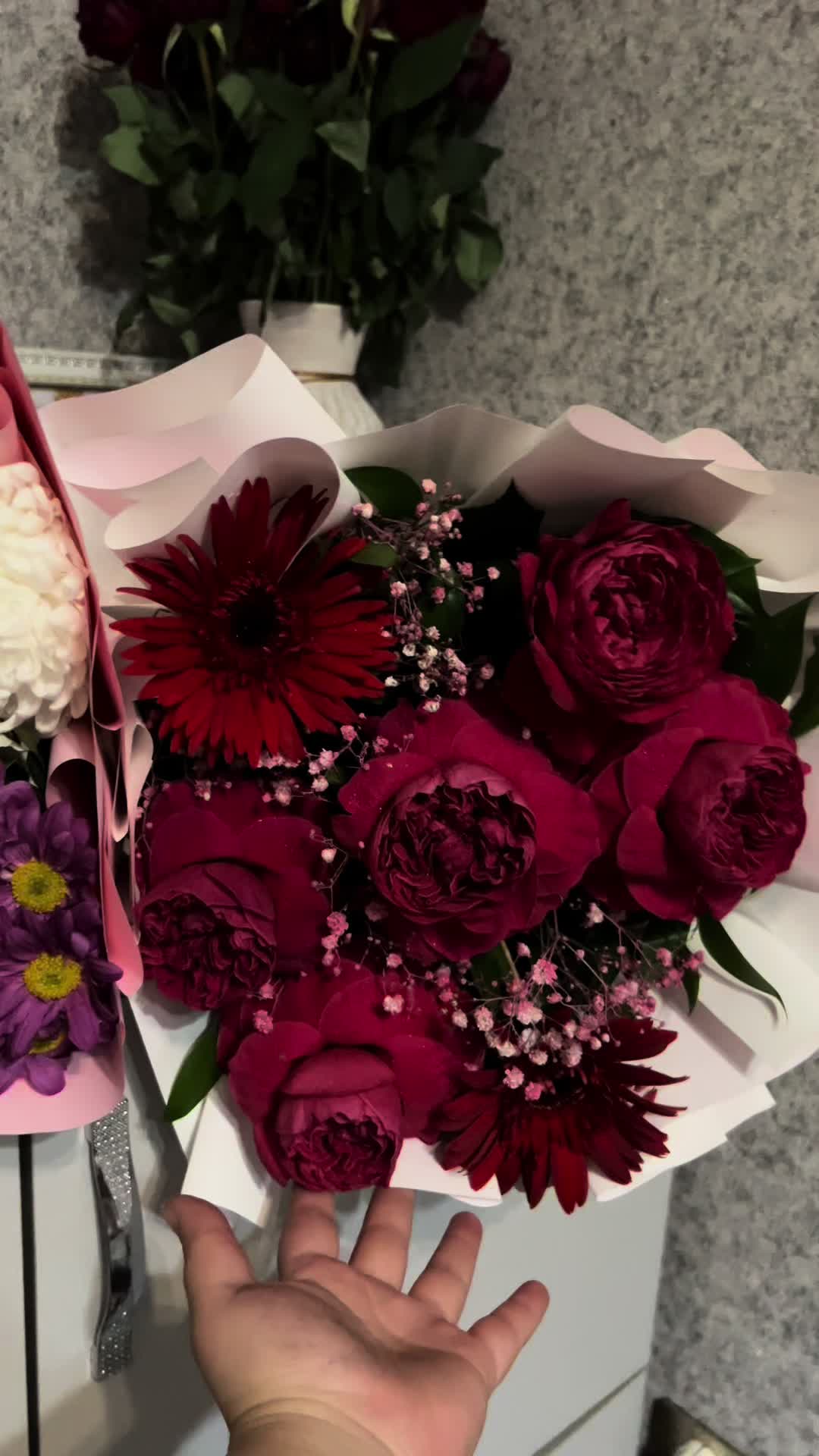 @Dr.DenizAslan