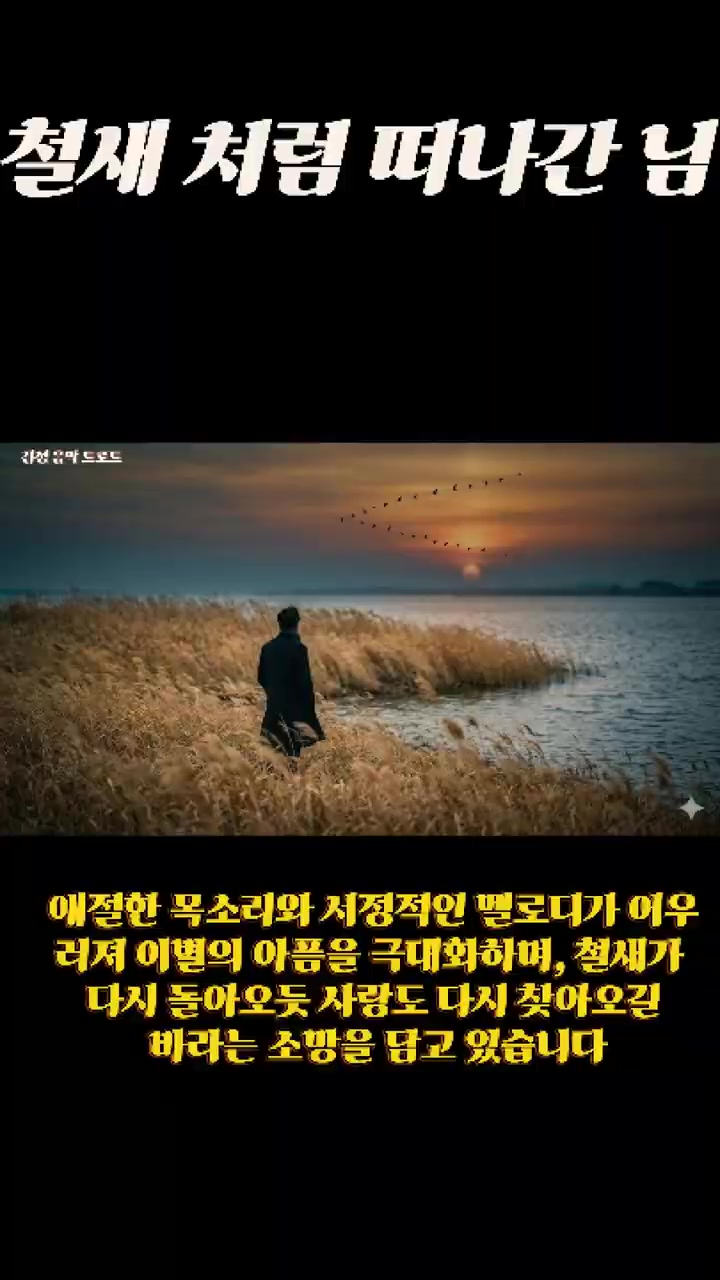 @감성 음악 트로트