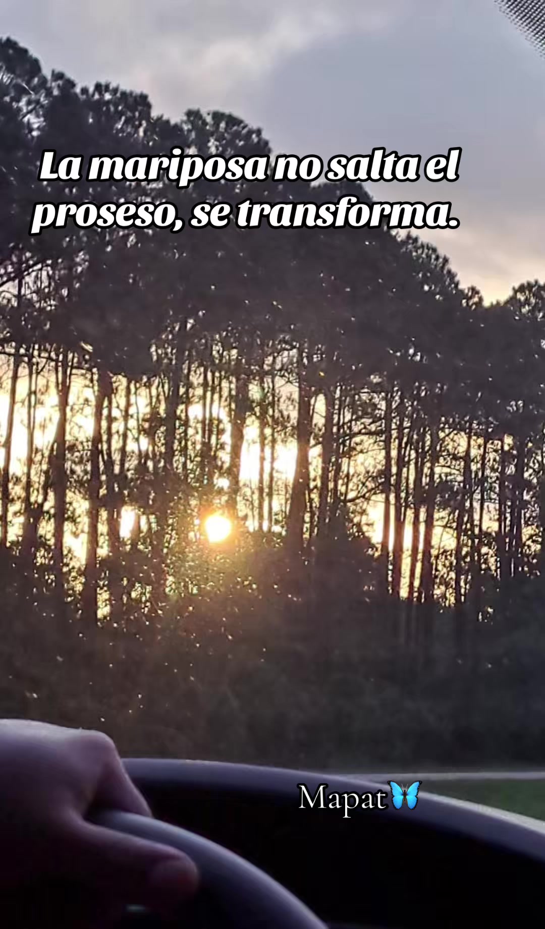 @Martha P. Betancourt Hernández