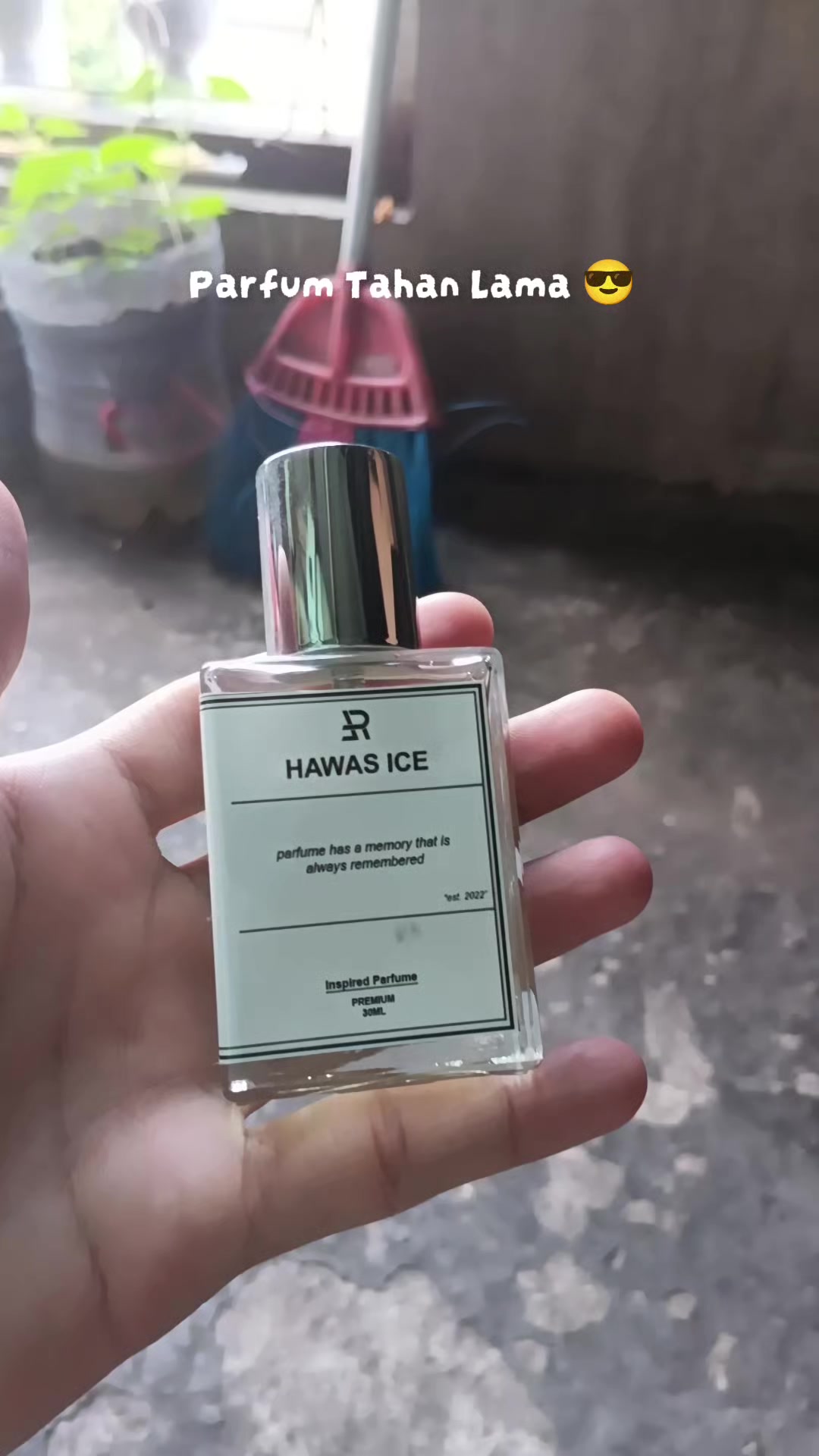 @AraNFth🦋