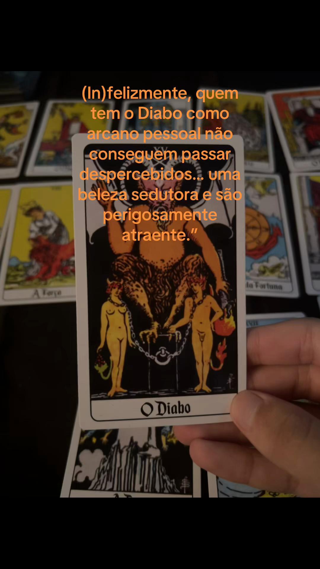 @bernardo