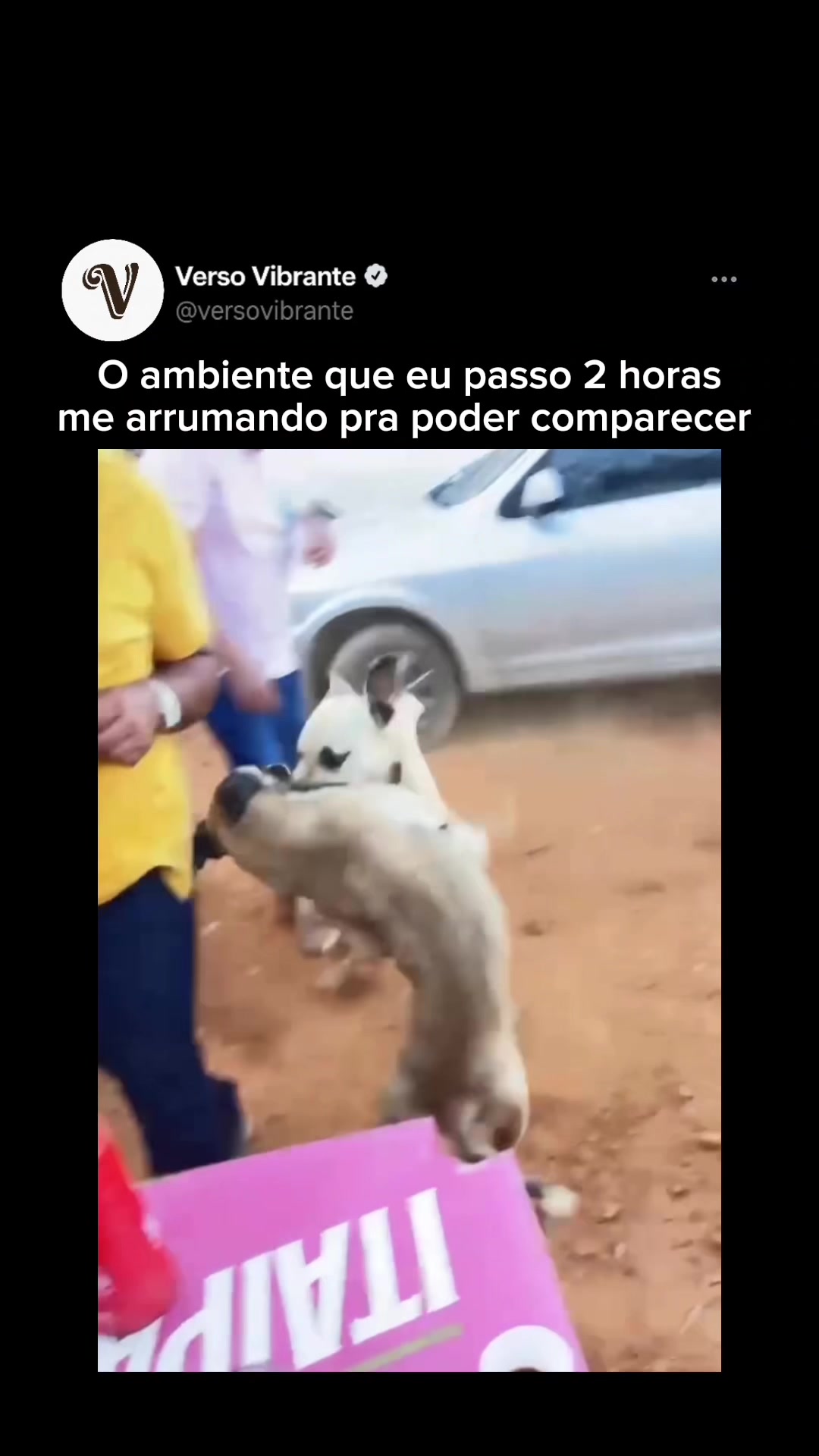 @versovibrantee