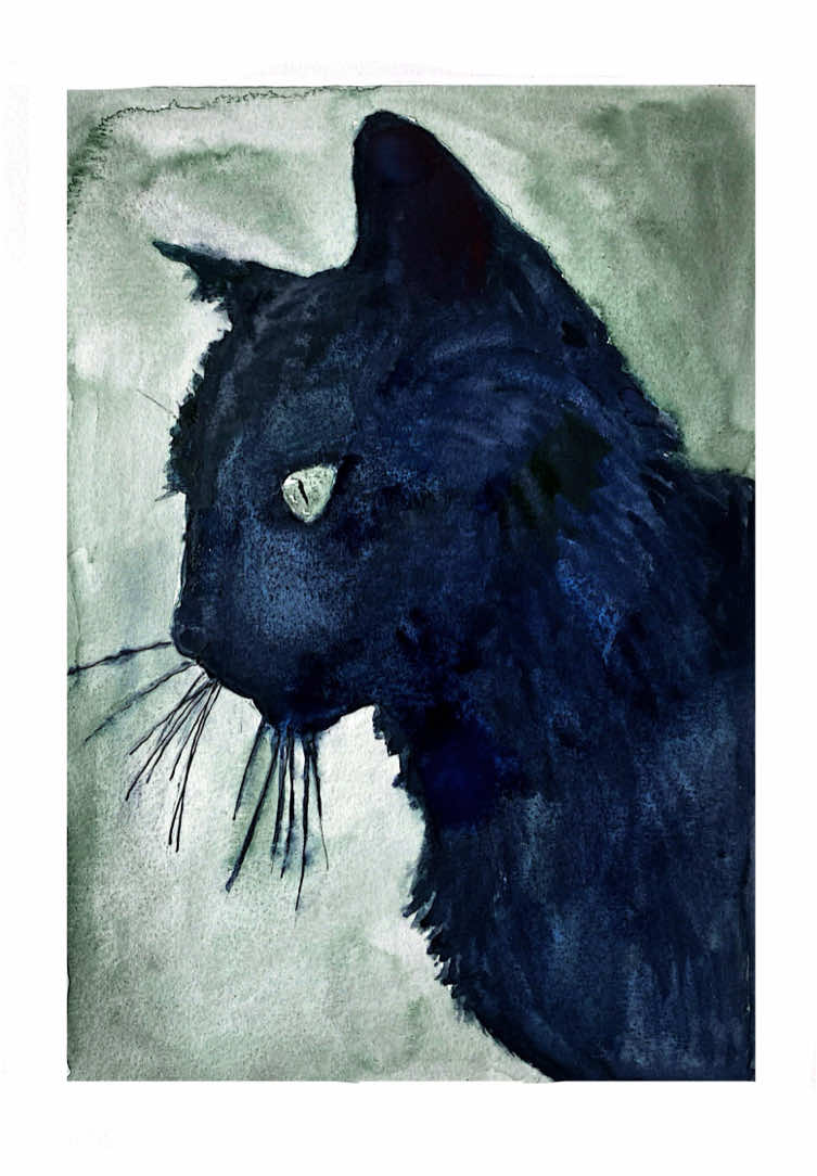 @Gato melanc&oacute;lico