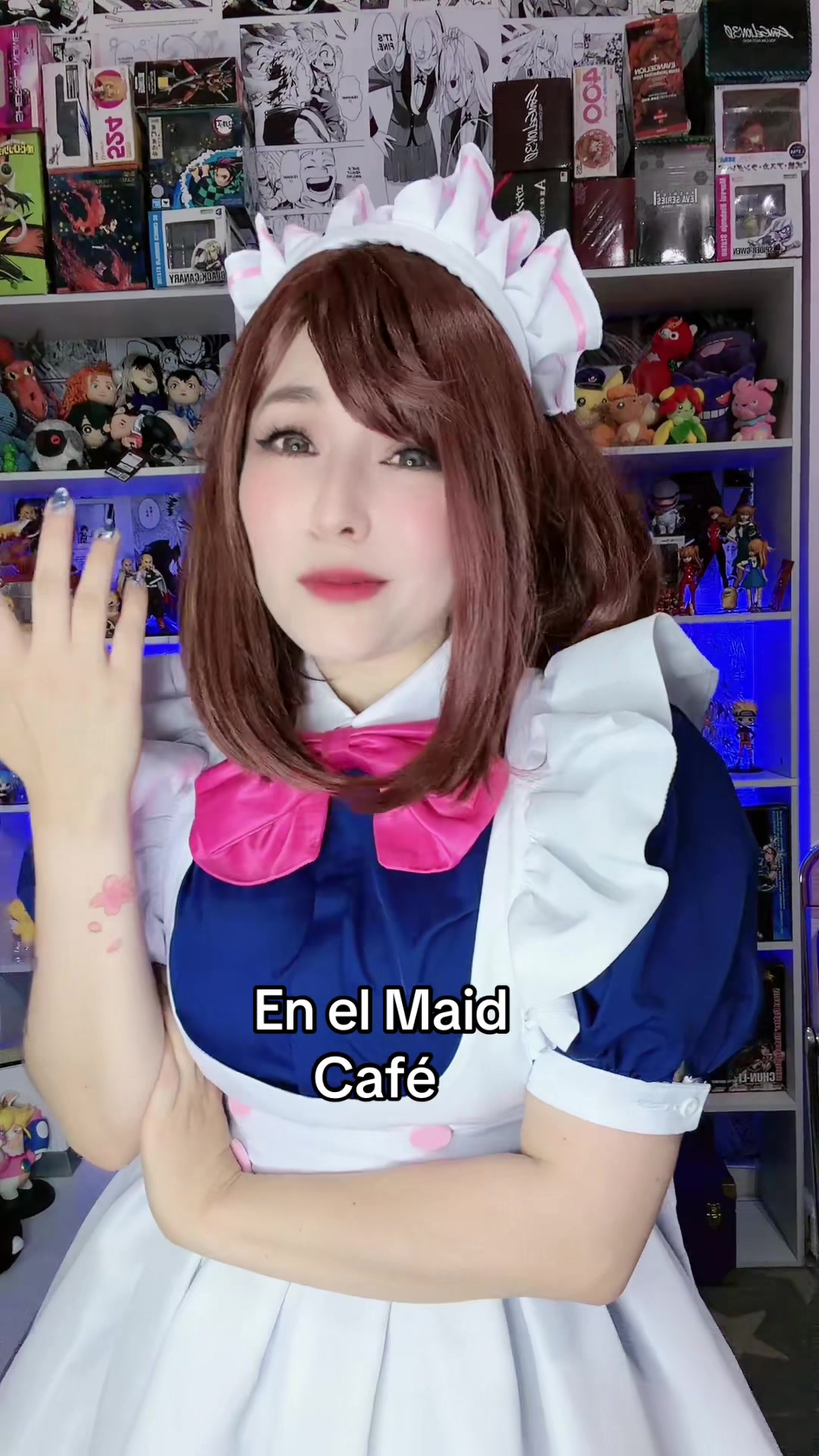 @faninirb