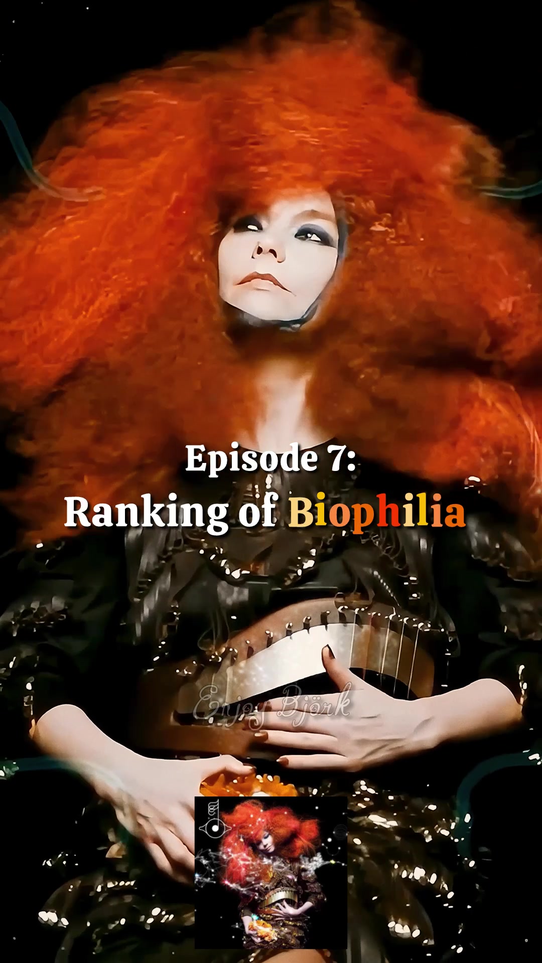 @Enjoy Bj&ouml;rk