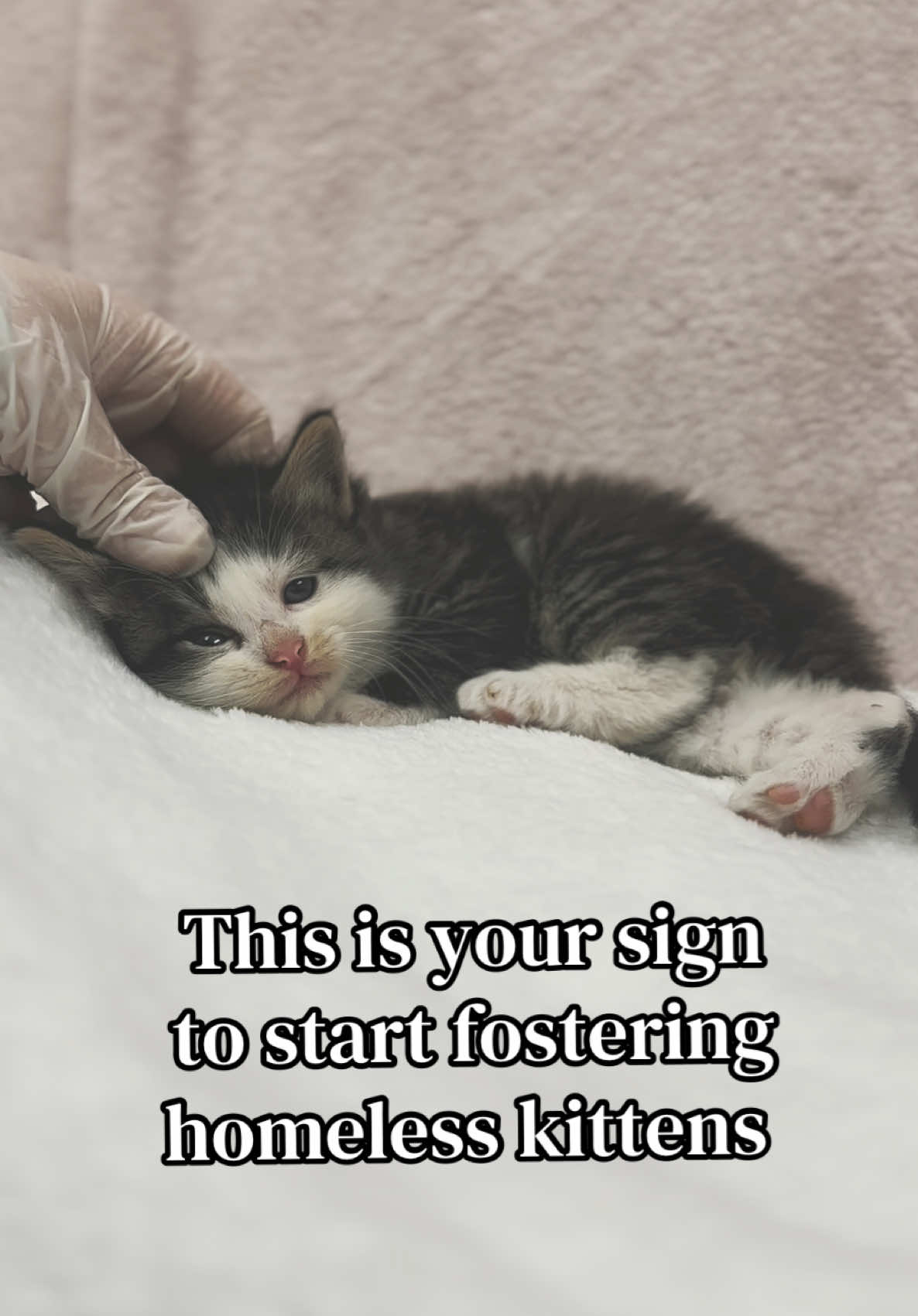 @PAWS