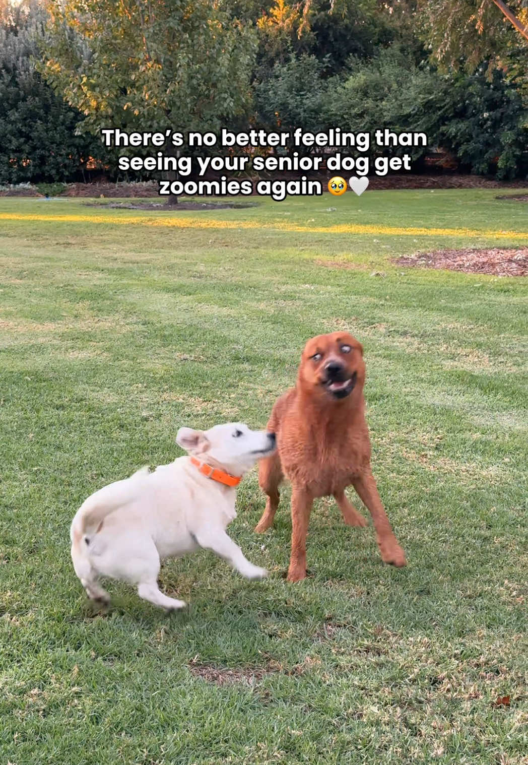 @Winnie & April