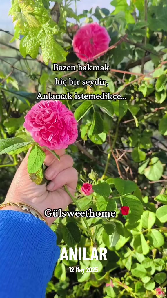 @g&uuml;l_ygt34