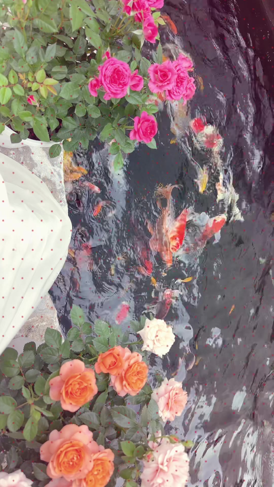 @Bé Nhung🐦🔥🐦🔥
