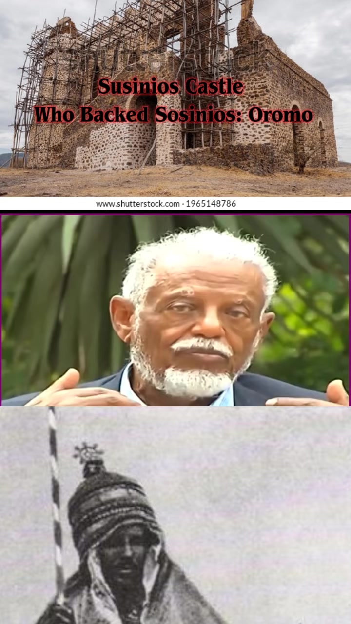 @Shimallis Abdisa Parody