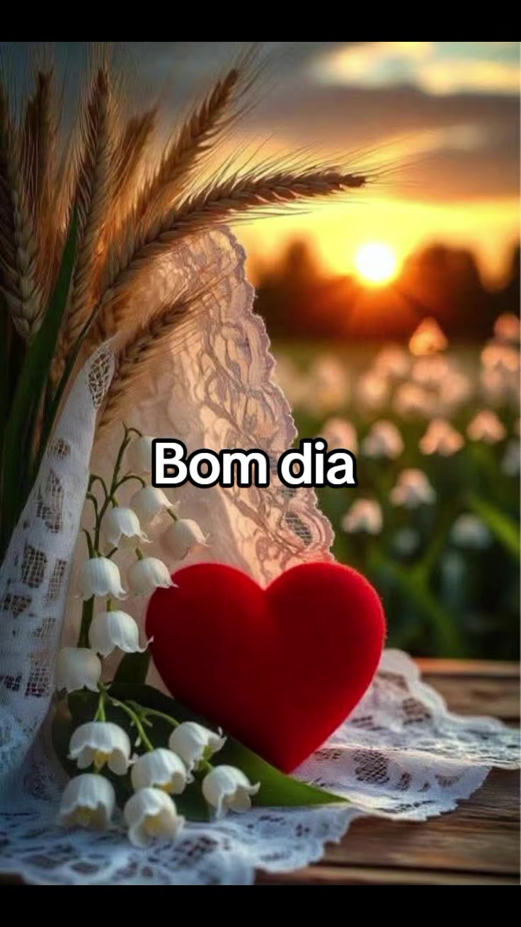 @❤Cláu🦋cris❤