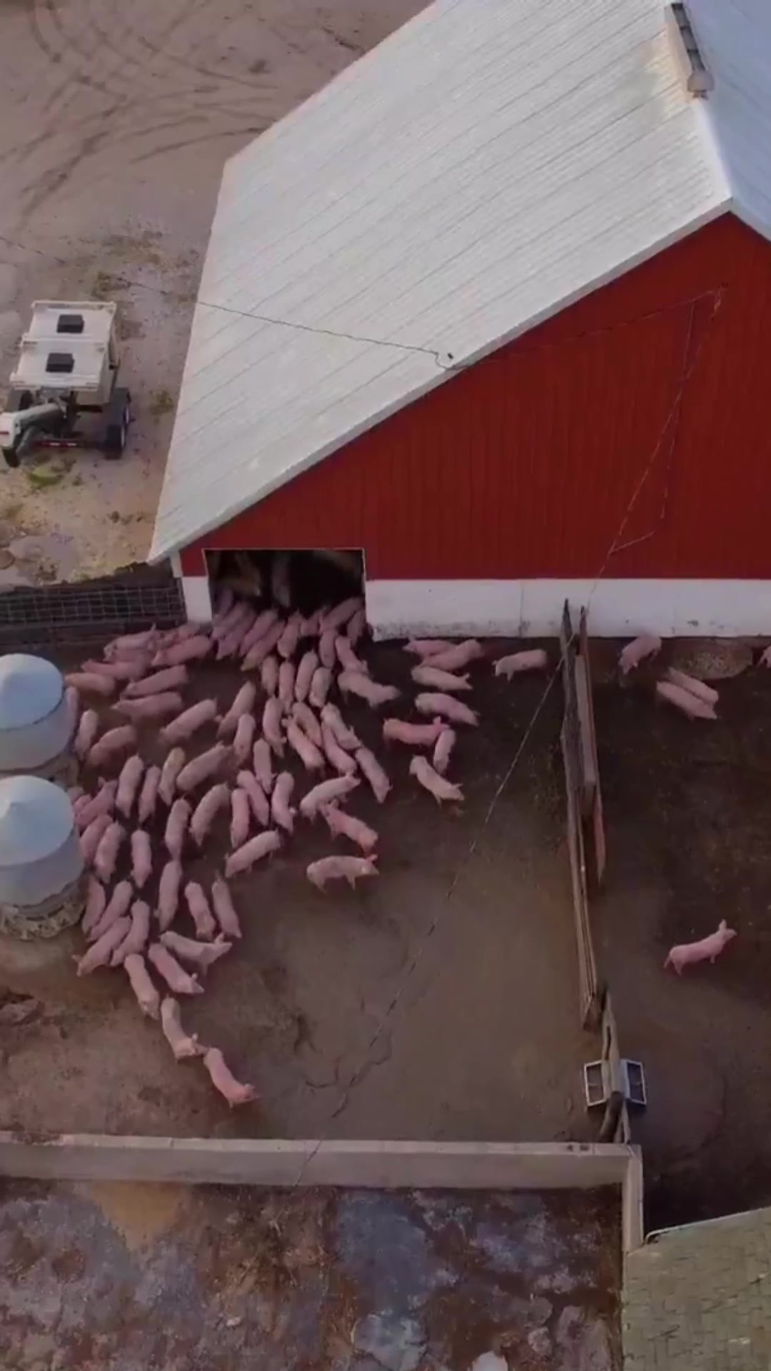 @Iowa Farmer Blake