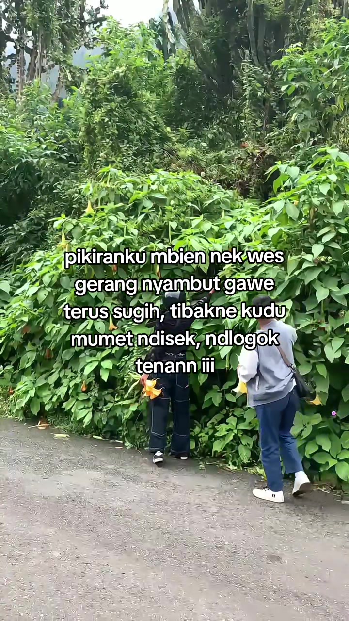 @๐น๐๐๐