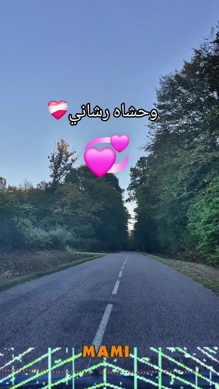 @sidahmed77❤️🩹31