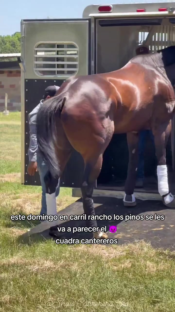 @carriles altos de jalisco🐎