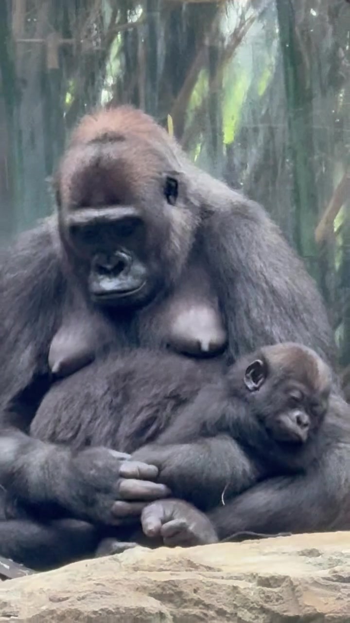 @Cincinnati Zoo