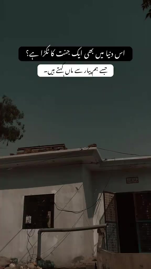 @علی کہتے ہیں
