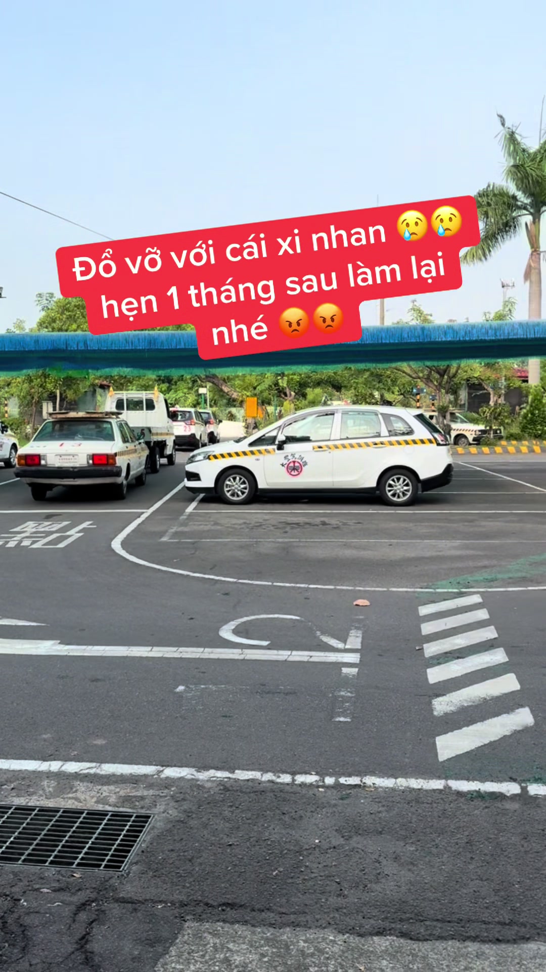 @🇻🇳xiaoying🇹🇼
