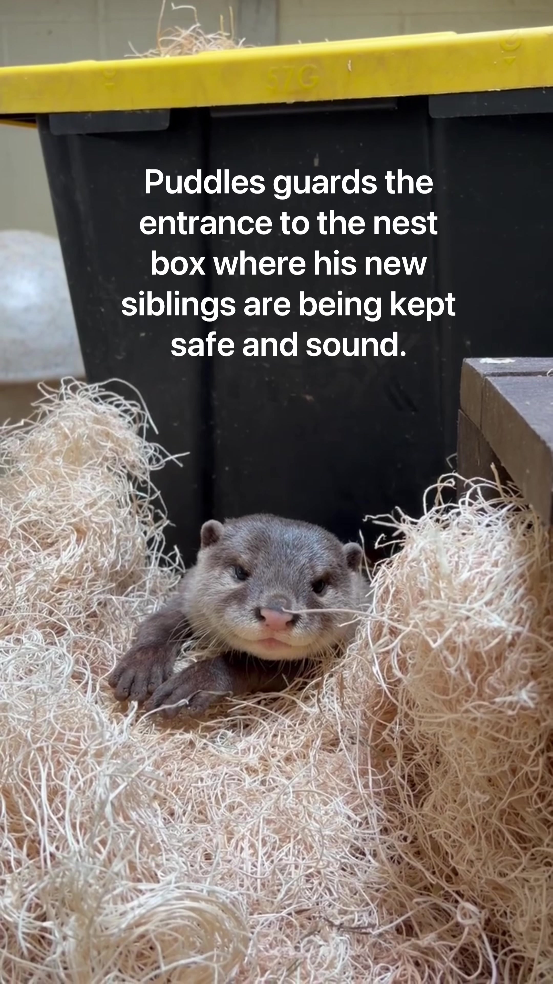 @Cincinnati Zoo