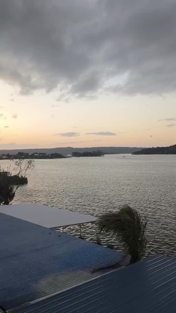 @Escorpión