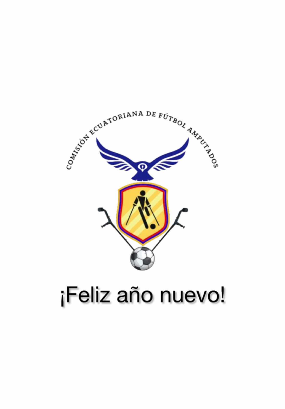 @comisionfutbolamputados.ec