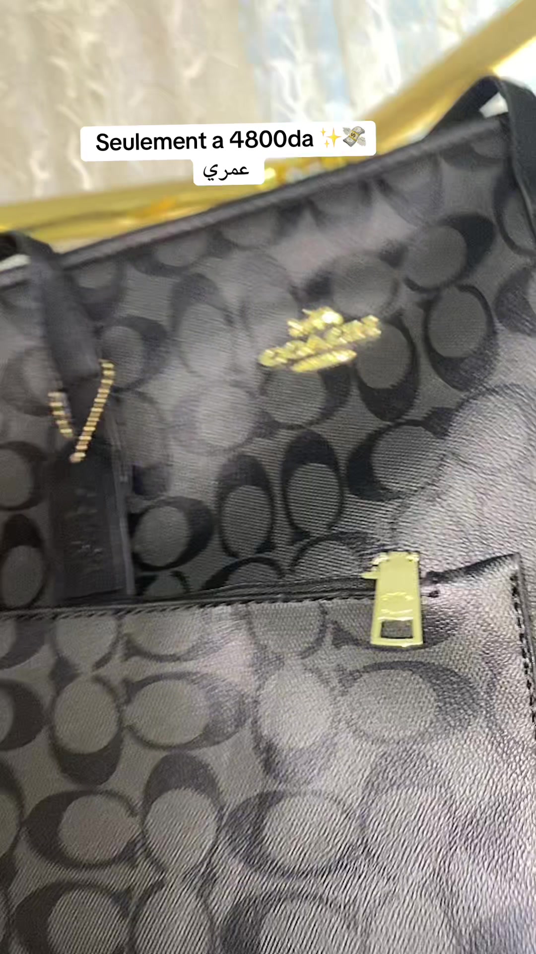 @✨Lilyan bag✨