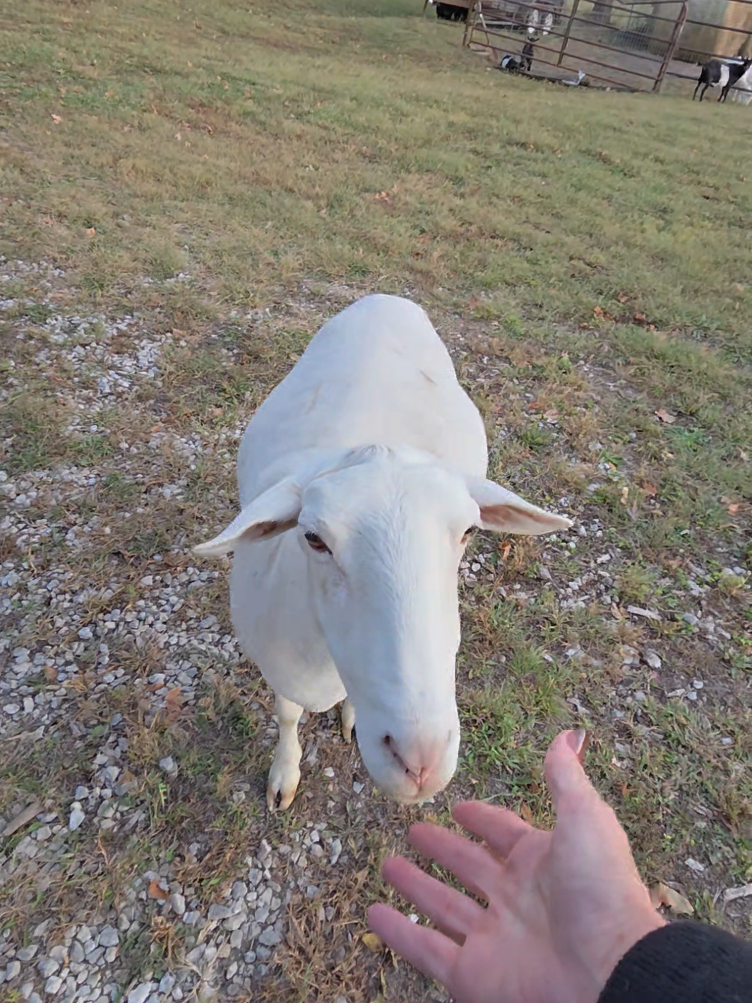 @Side of Ranch