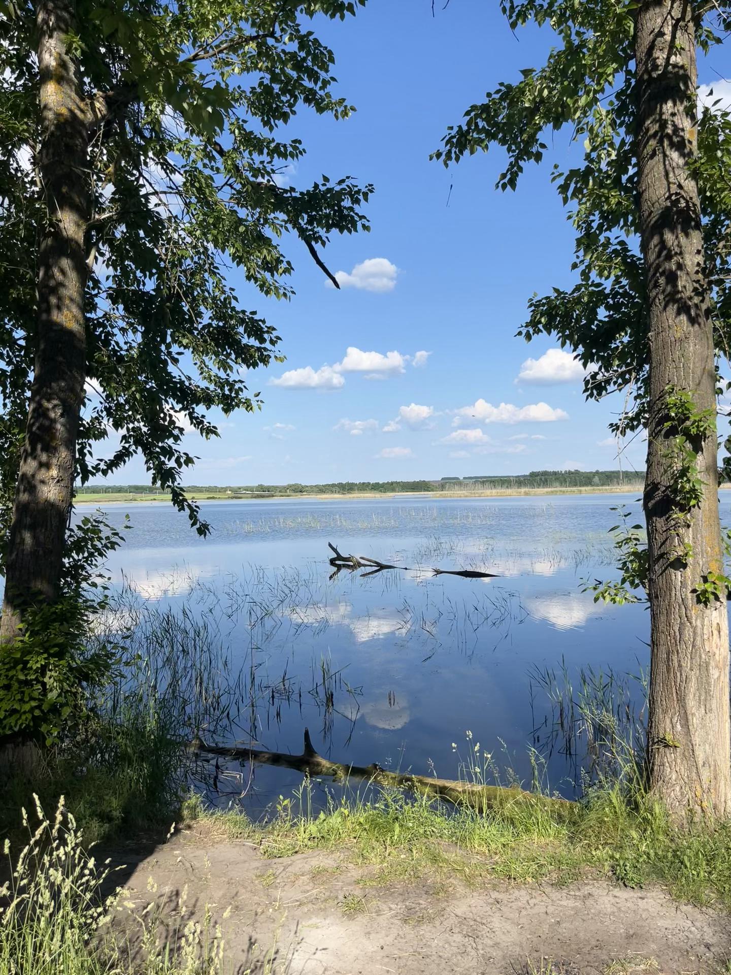 @влюбленные в природу
