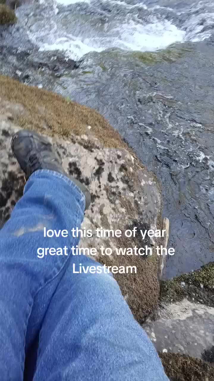 @Sean.Greiner_Silverton.Or