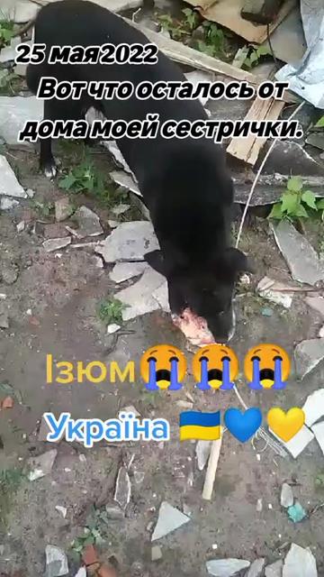 @Solnishko 777🌞❤️🕊️