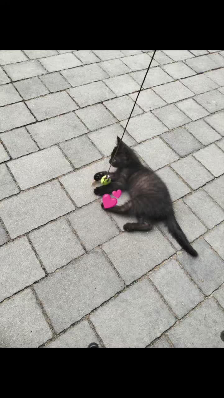 @๐ค๐ฝ๐๐๐'๐_๐๐๐๐๐๐๐ค