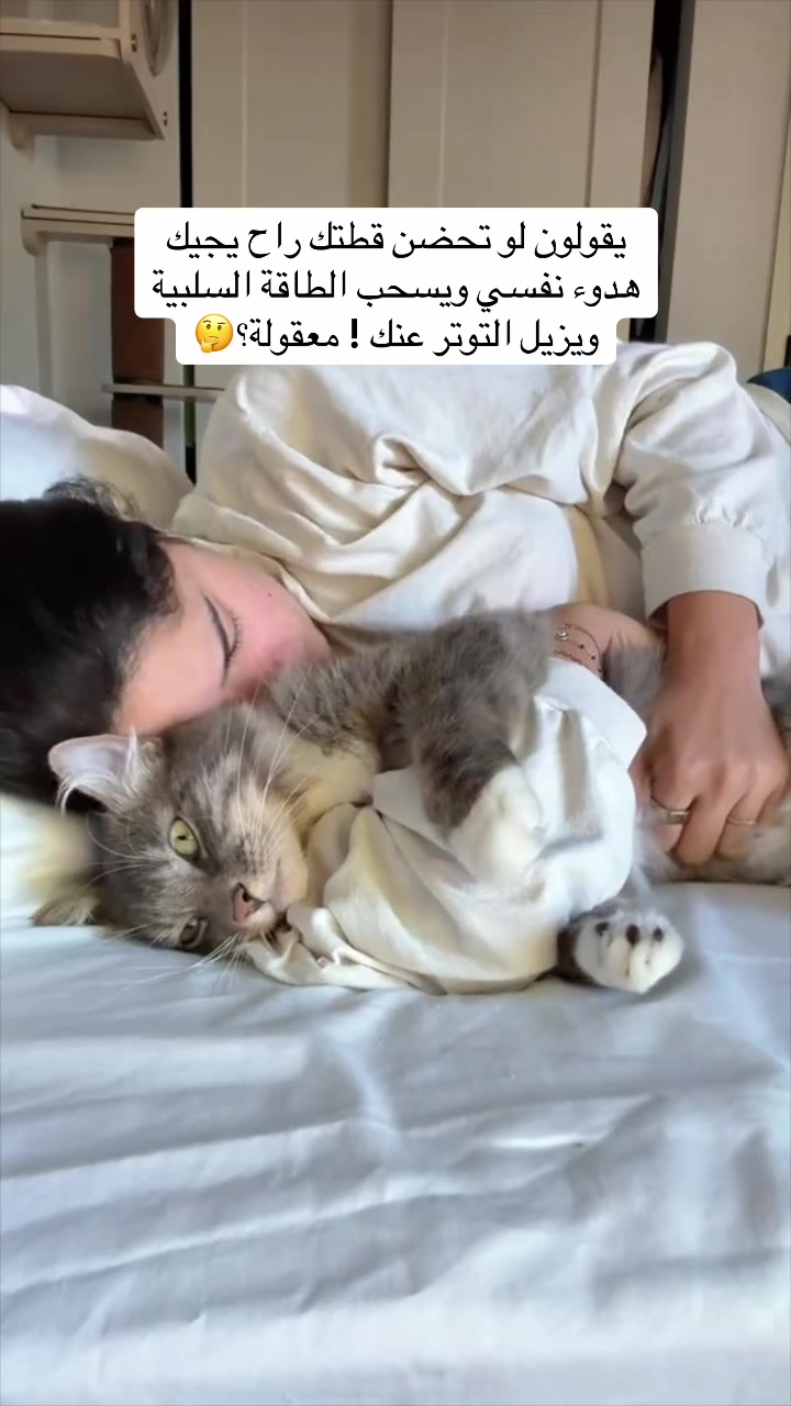 @اقبال والقطط