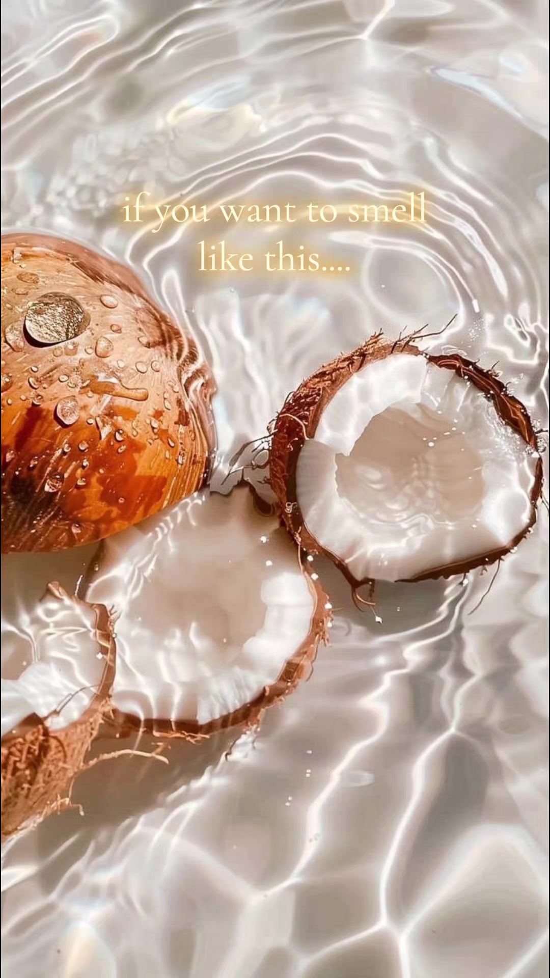 @shantell✨️