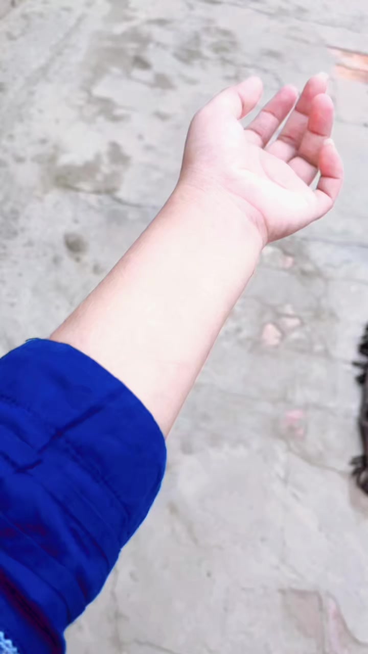 @꧁᭄ꗟ𝓱𝓪𝒽𝒛𝐚𝑑i⌁𝖔𝖋⌁нᥱárƚ ᭄꧂