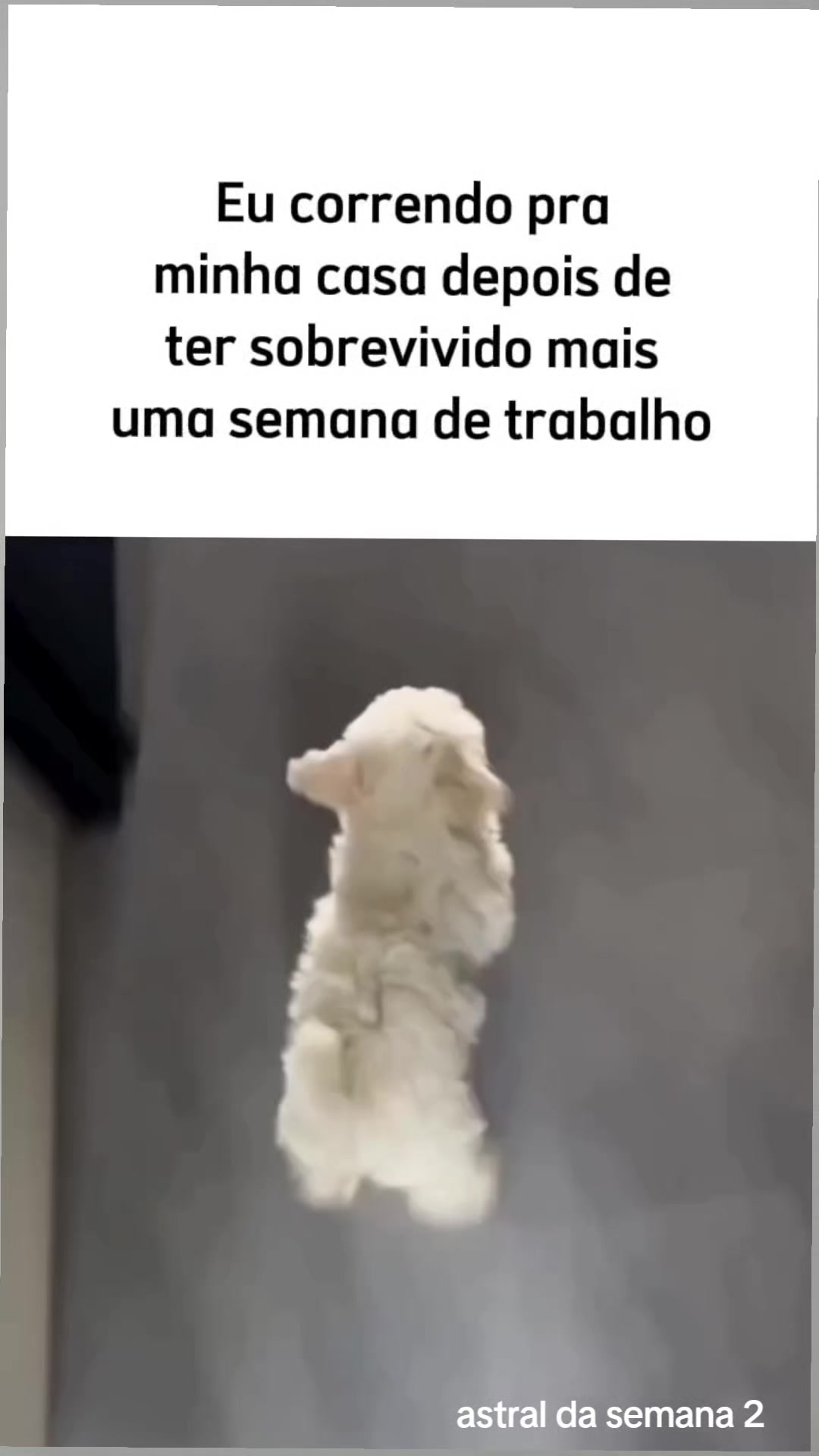 @Astral da semana 2