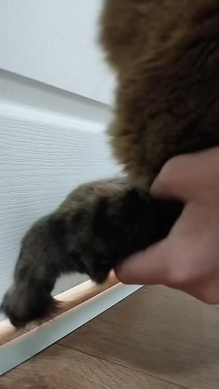 @Марсик😺💖