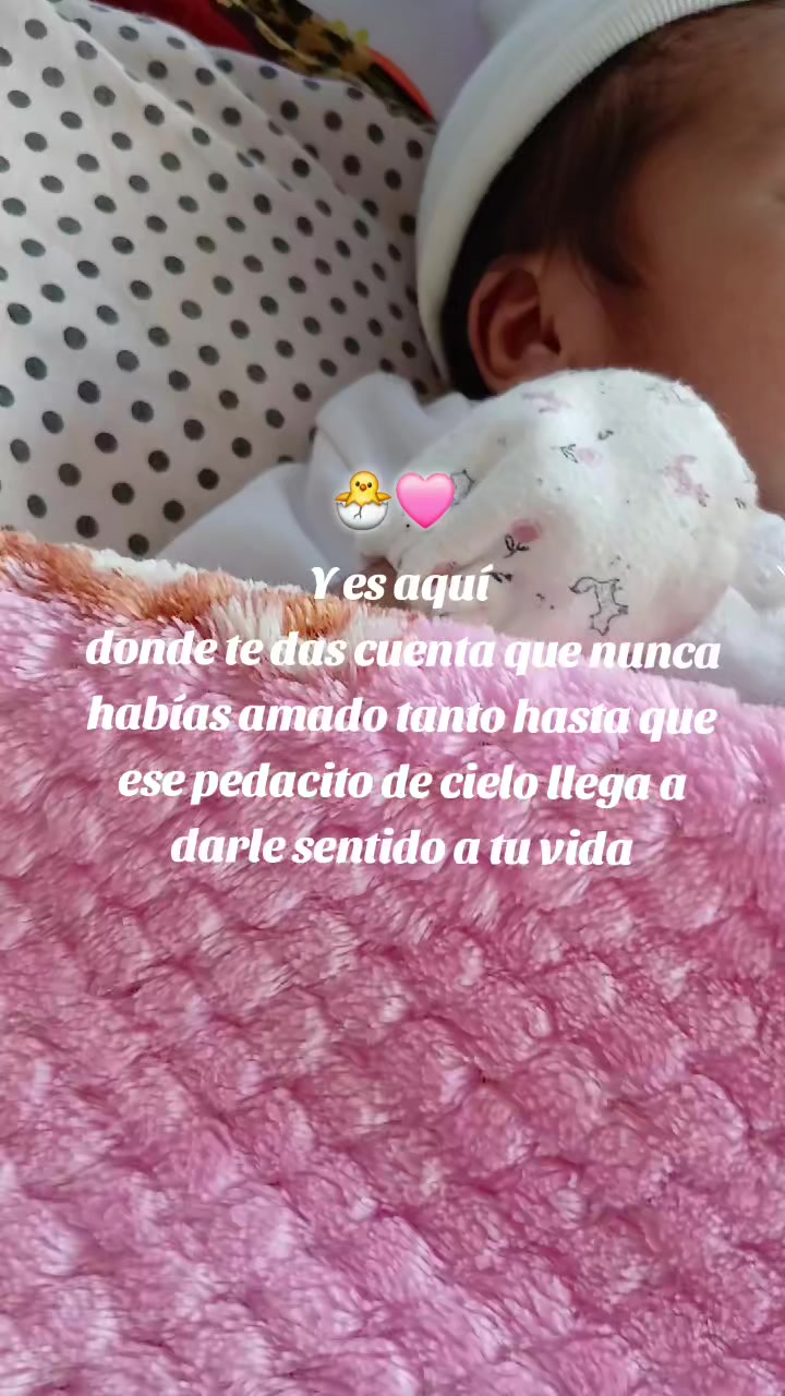 @Ale🐢