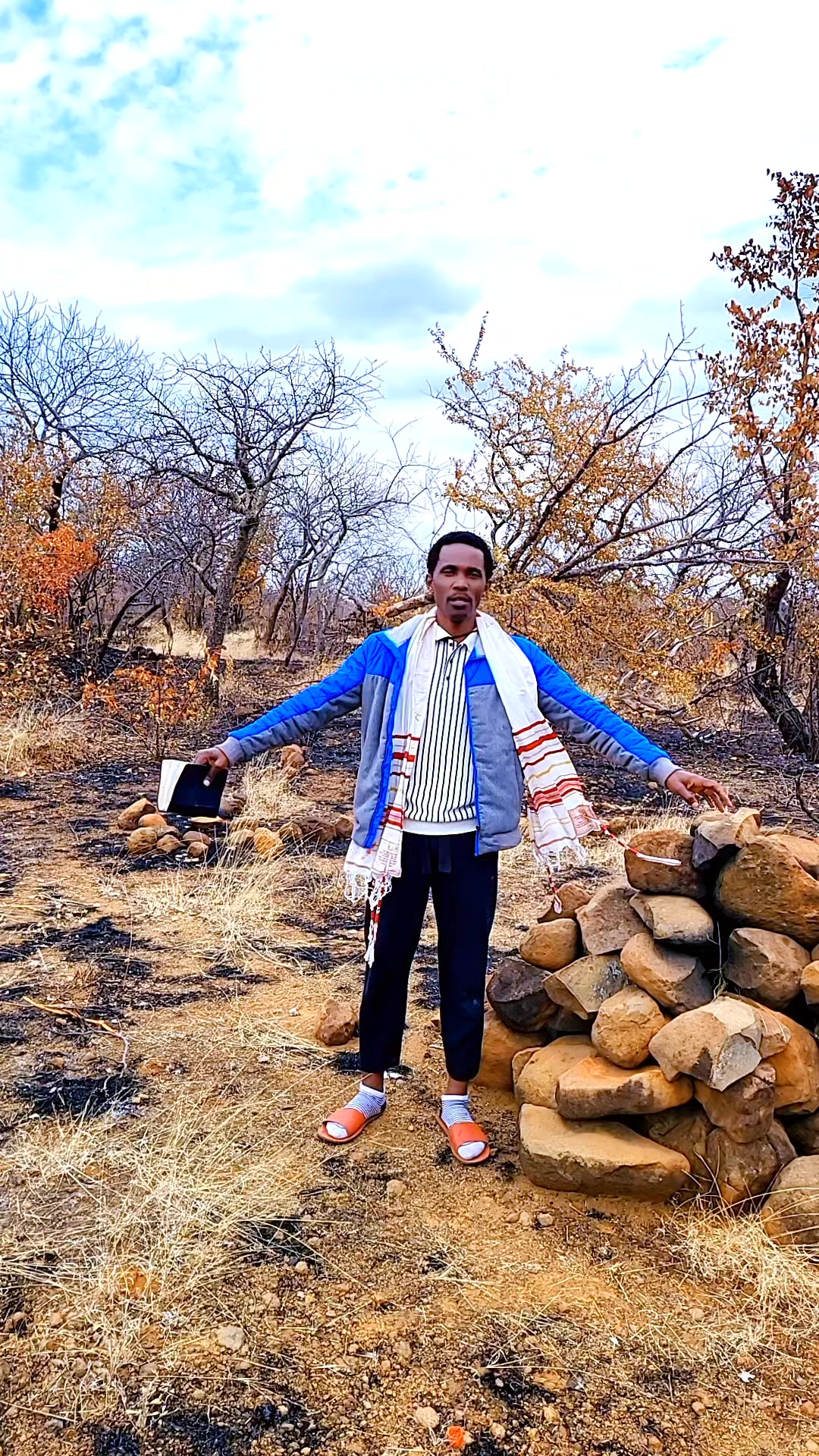 @prophet David