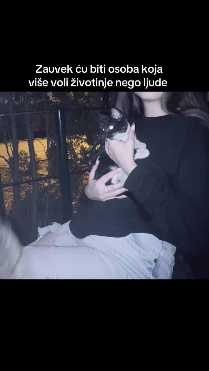 @J✨🐈⬛