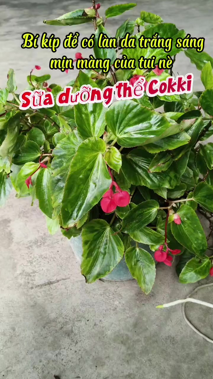 @Nguyễn Thiện Nhân