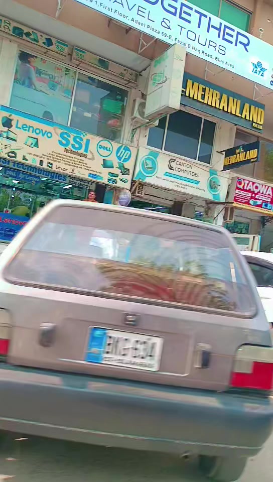 @جنگلی بلی 😺