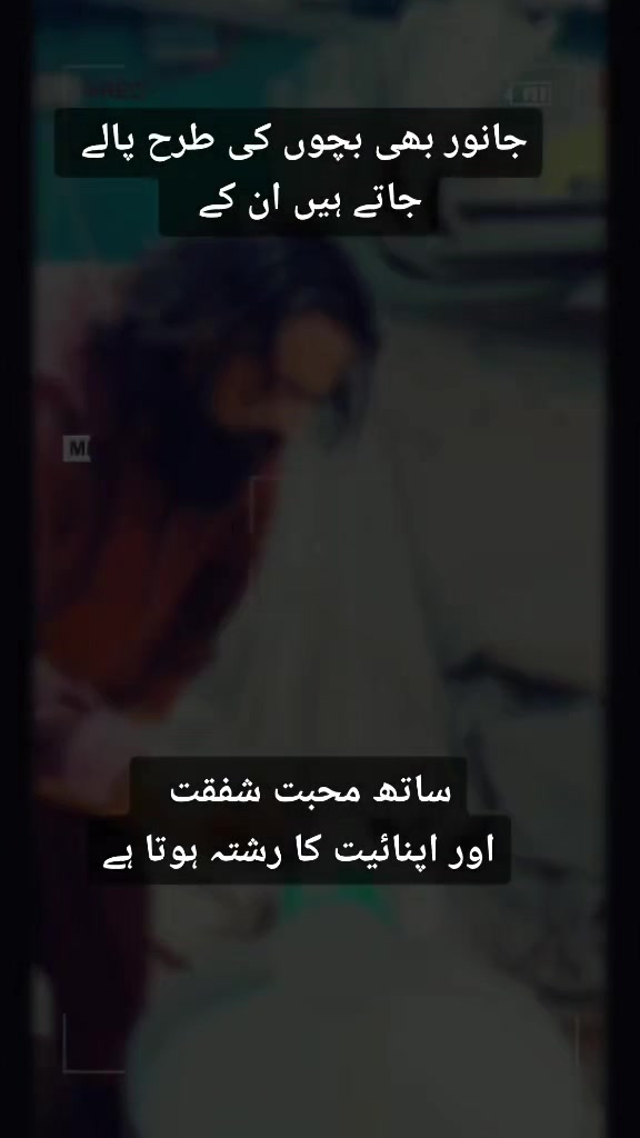 @Waqas Qureshi