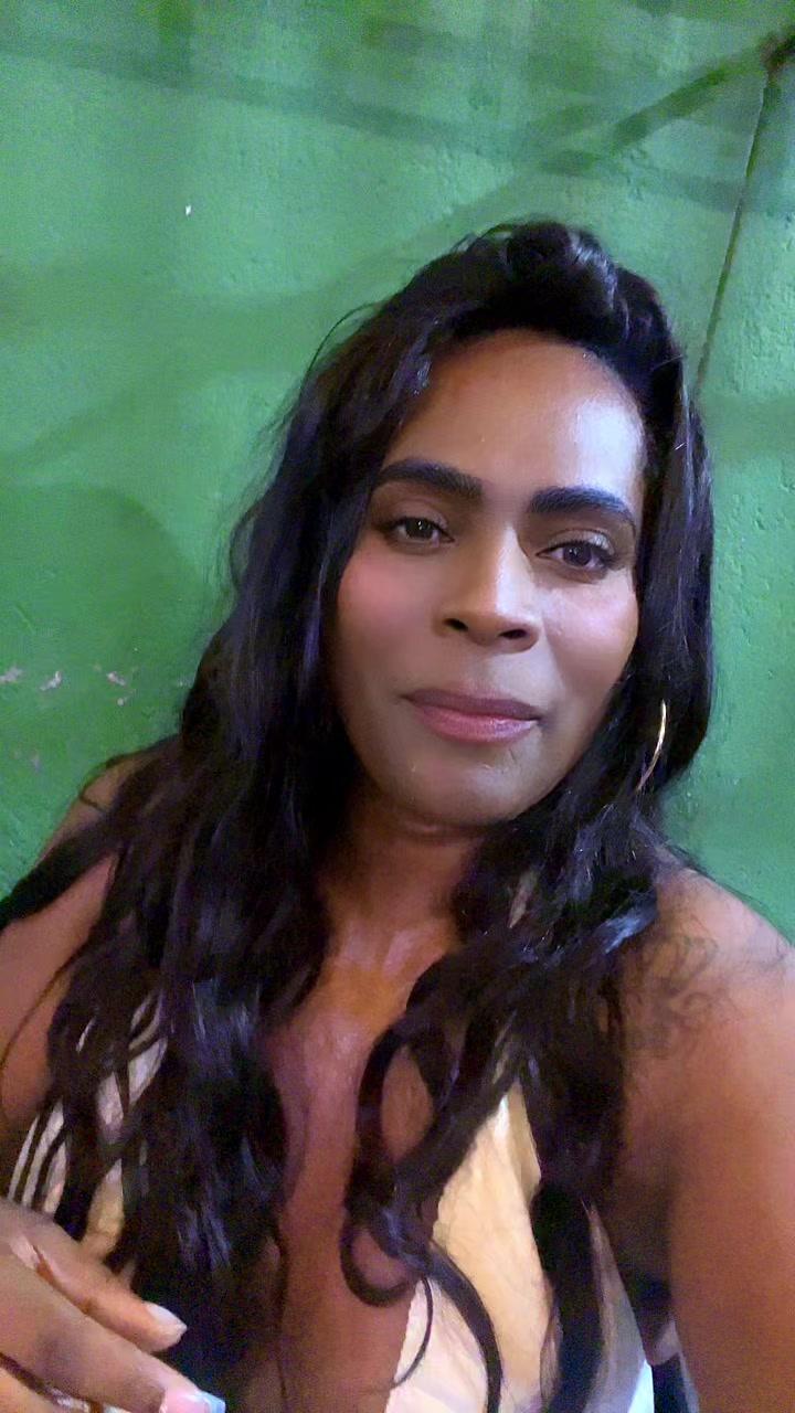 @trans da nittrans