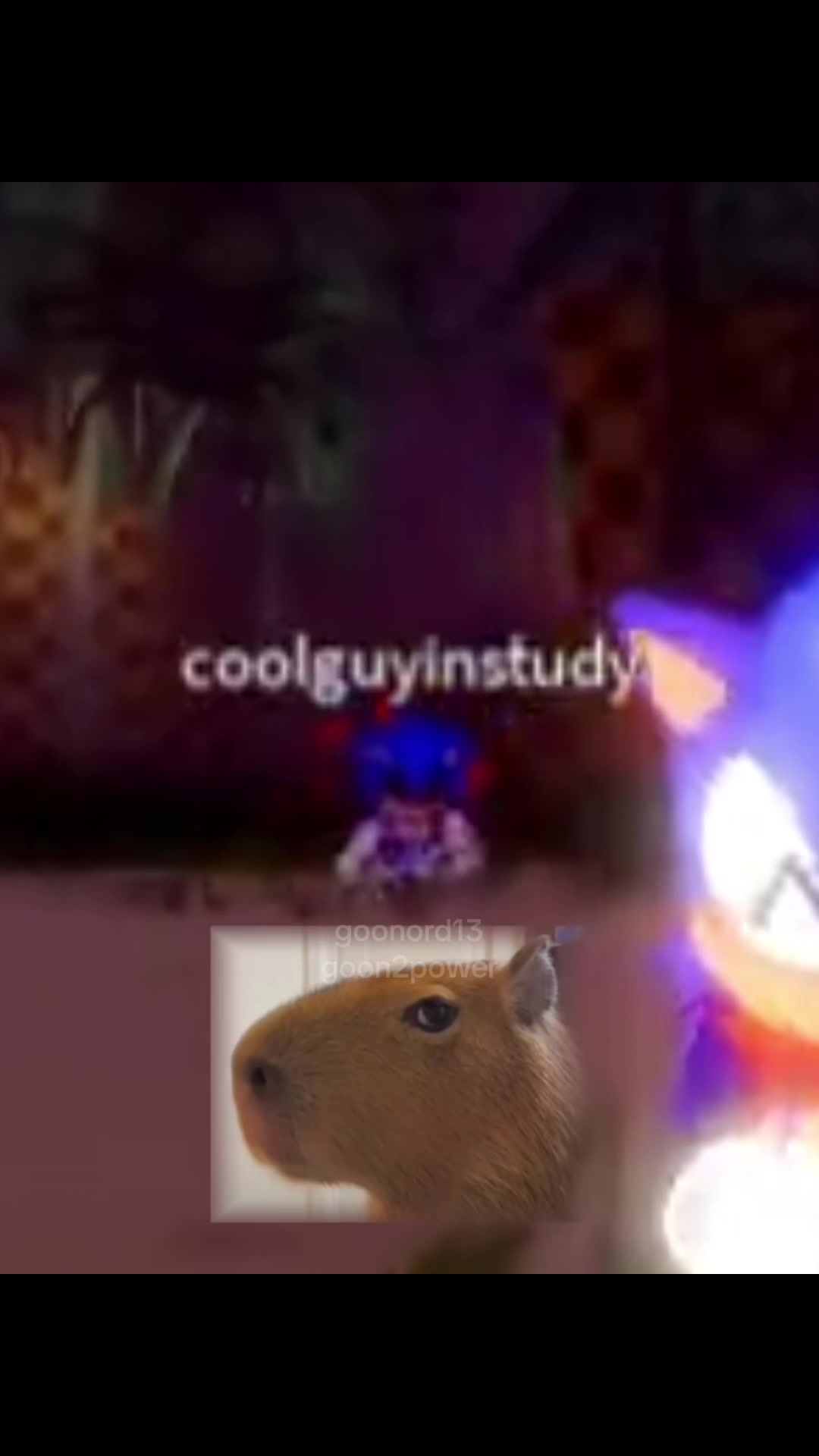 @goonord13