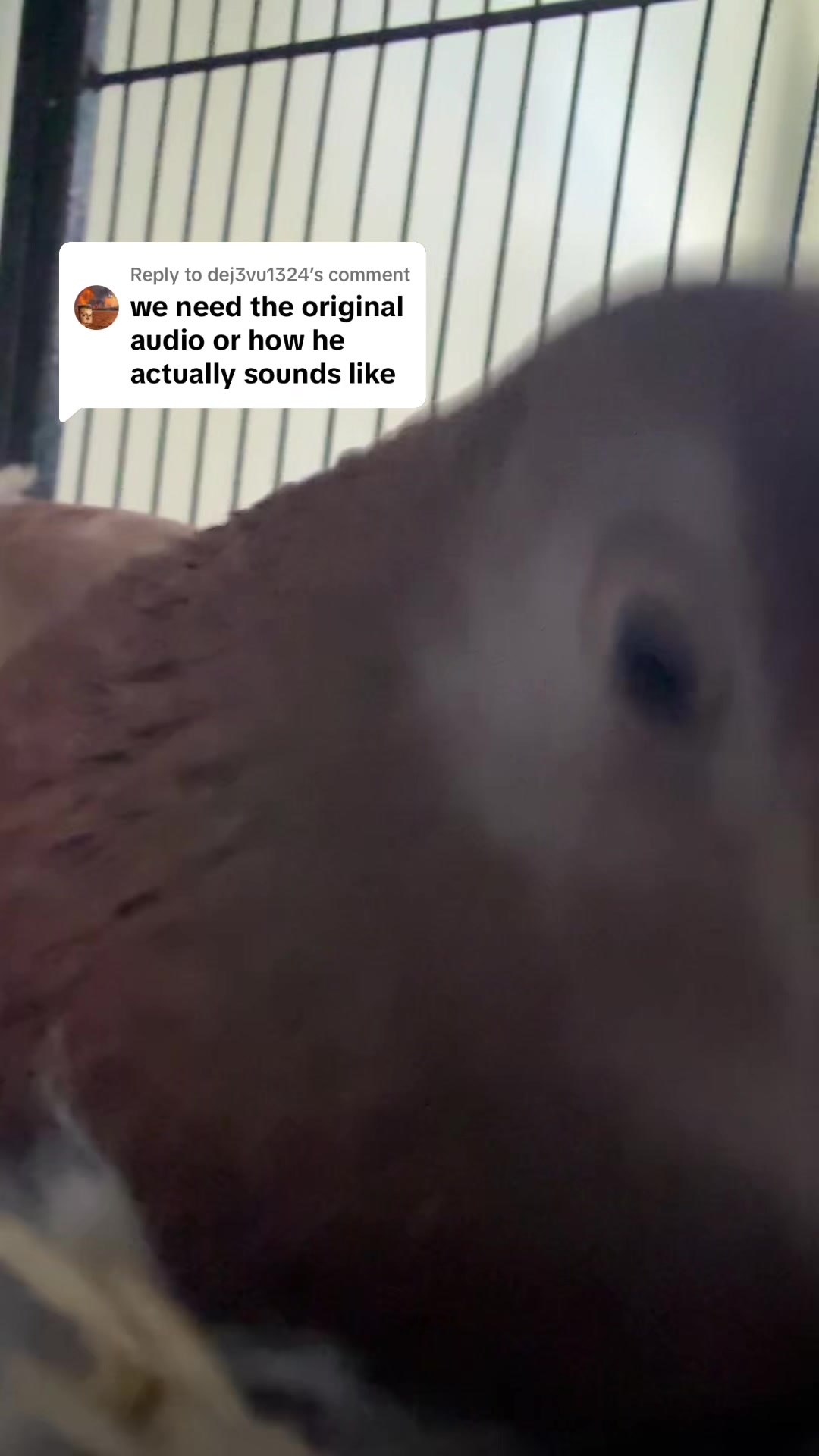 @hugeglorp