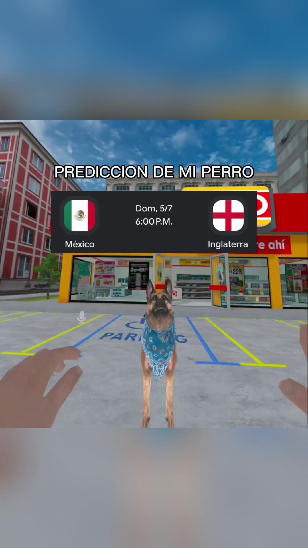 @BolilloVR
