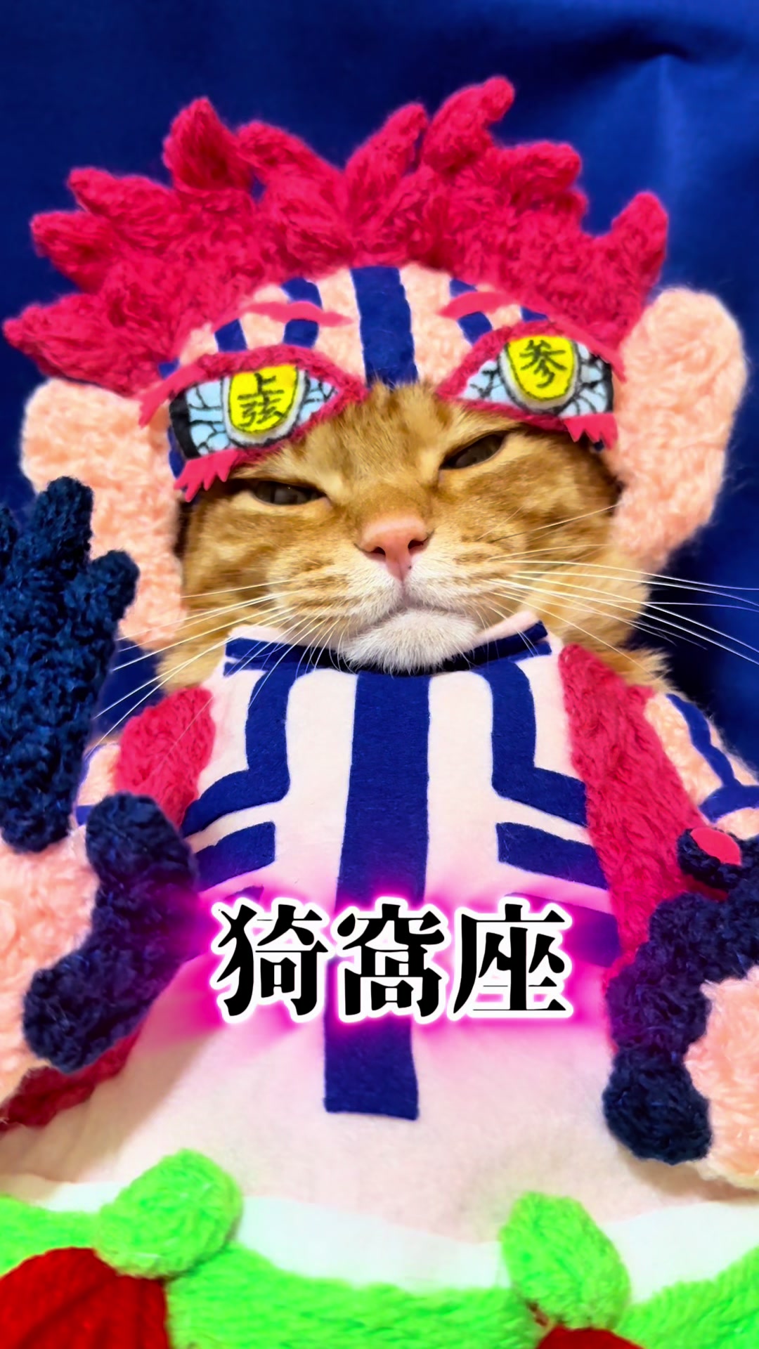 @猫の神様