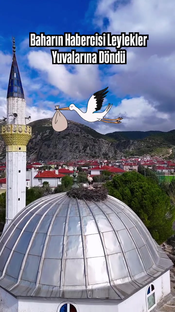 @kenan_gurbuz